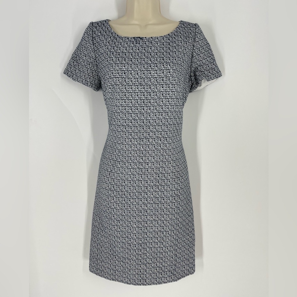 Tahari Dress (B31)